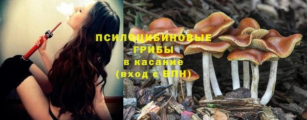 каннабис Заволжск