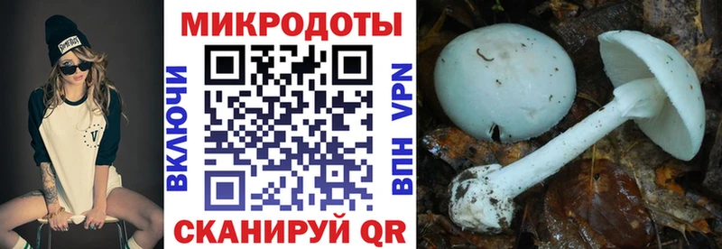 Псилоцибиновые грибы прущие грибы  shop официальный сайт  Салават 